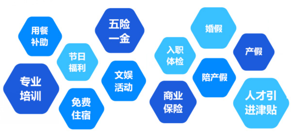 提供全面、系統(tǒng)、專業(yè)的培訓和廣闊的<br>職業(yè)發(fā)展空間和提升機會